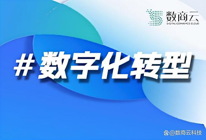 家具行业数字化转型：趋势挑战与策略的全面解析｜数商云(图1)